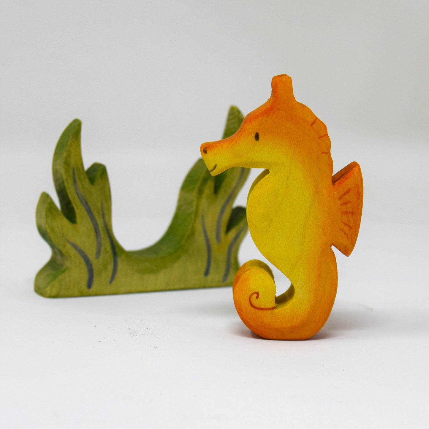 Seahorse and Seagrass